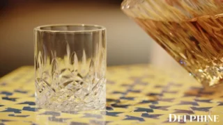 Delphine Films- Latina Beauty Vanessa Sky Takes A Pounding From Her High Profile Client