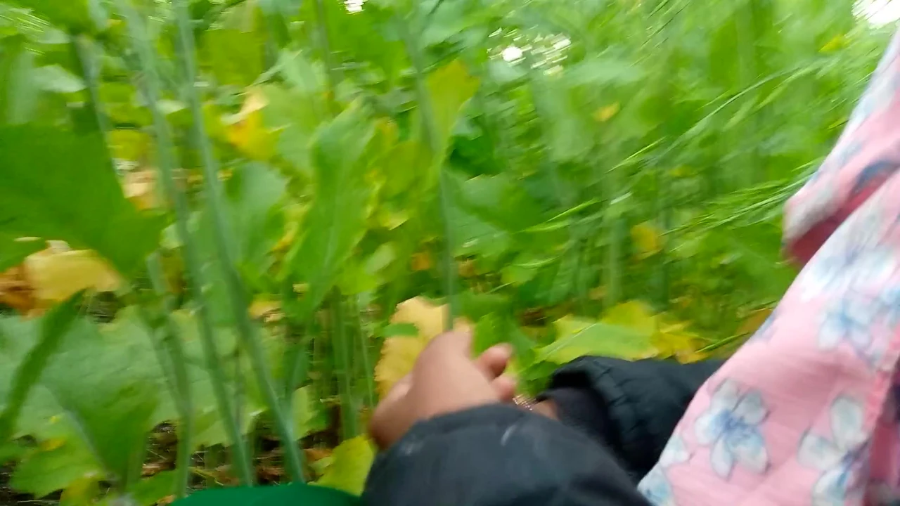 Indian desi mother-in-law mom ki sex video khet me jamai saas by xxx videos